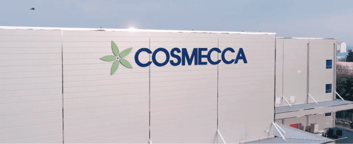 Cosmecca's Company